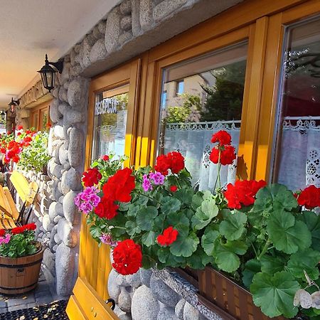 Villa D.W Teresa Zakopane Exterior foto