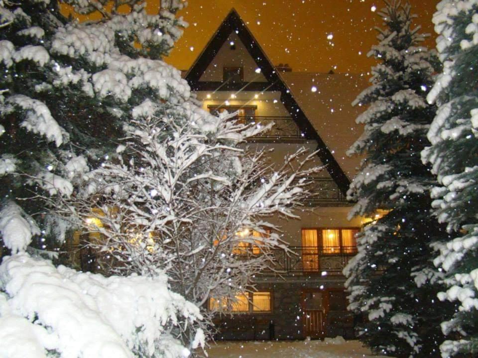 Villa D.W Teresa Zakopane Exterior foto